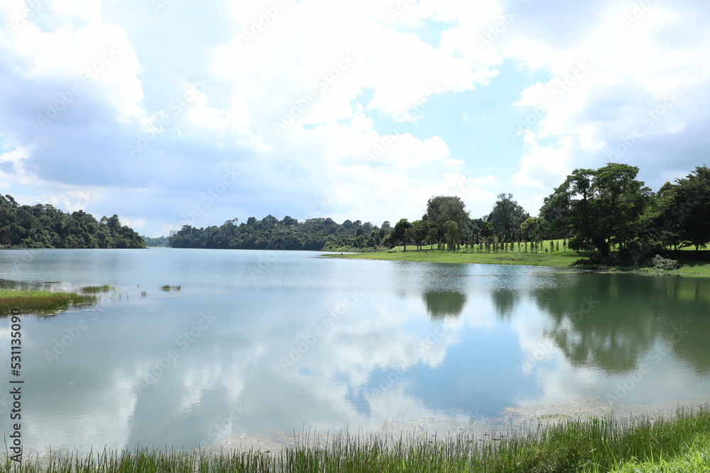 Fototapeta premium lake and forest