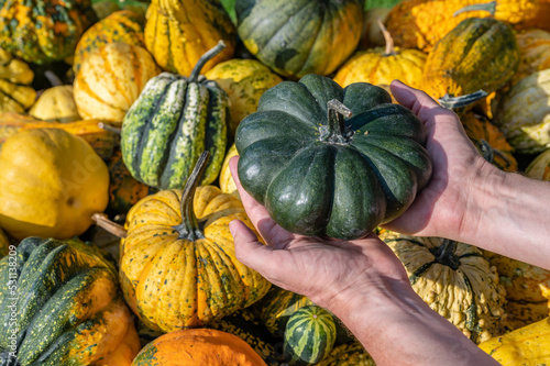 Wallpaper Mural Male white farmer holds an green ornamental gourd in his hand Torontodigital.ca
