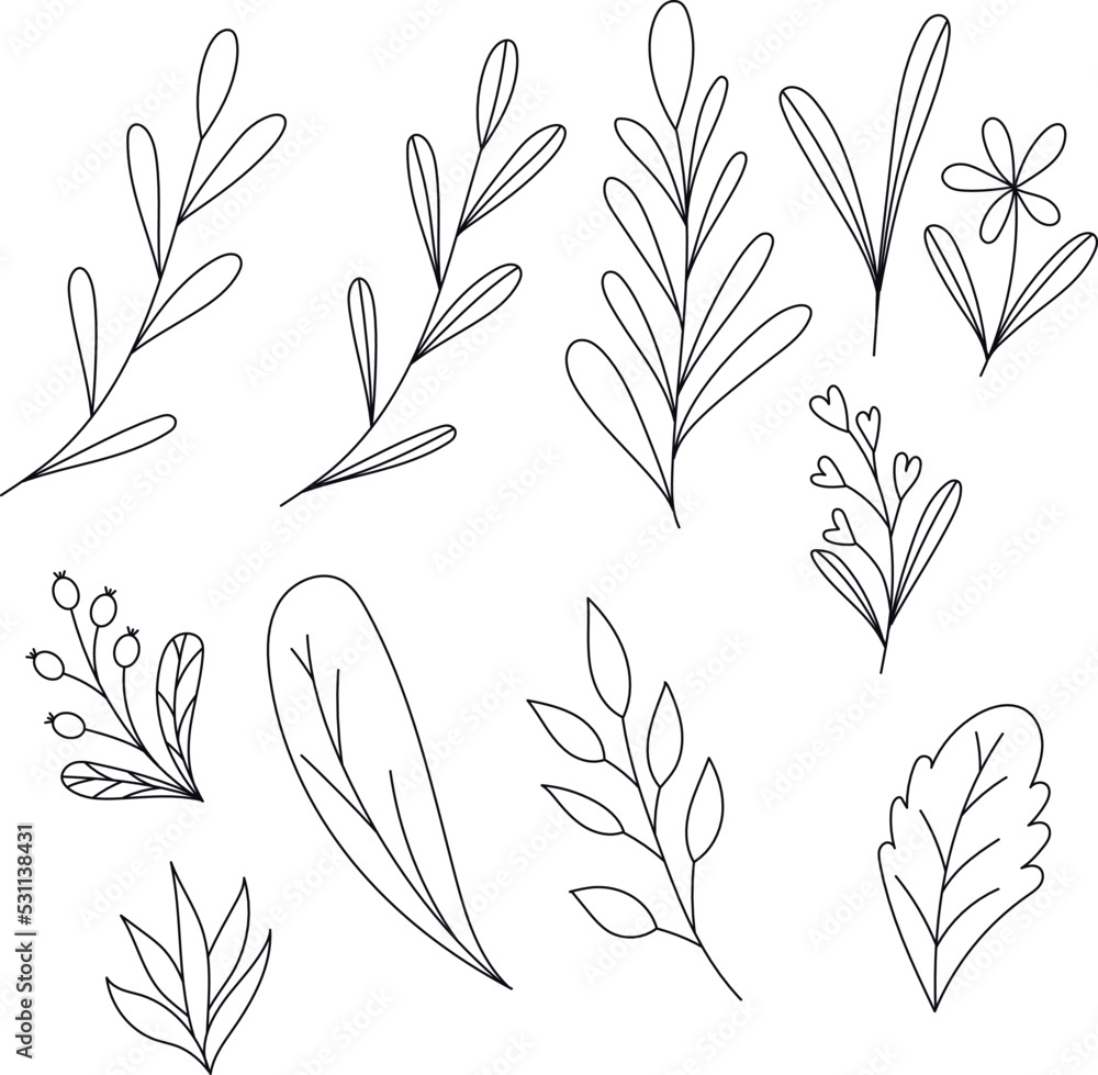 Naklejka premium Beautiful doodle set different leaves, great design for any purposes. Vector sketch illustration. Beautiful natural background.