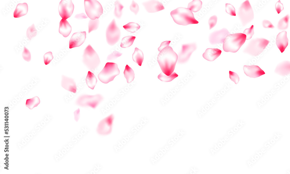 Japanese cherry blossom pink flying petals