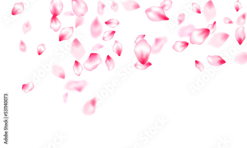 Japanese cherry blossom pink flying petals