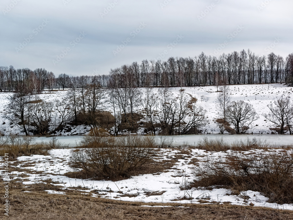 Obraz premium The bank of a small river in early spring