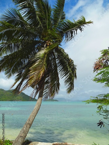 Εκτύπωση καμβά Seychelles, Praslin island, Saint Anne bay, Anse Madge