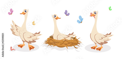 Vector illustration of cute and beautiful goose on white background. Charming characters in different poses stand, sit in nests, catch worms in cartoon style.
