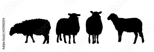 Fotografie, Obraz set of silhouettes  of sheep