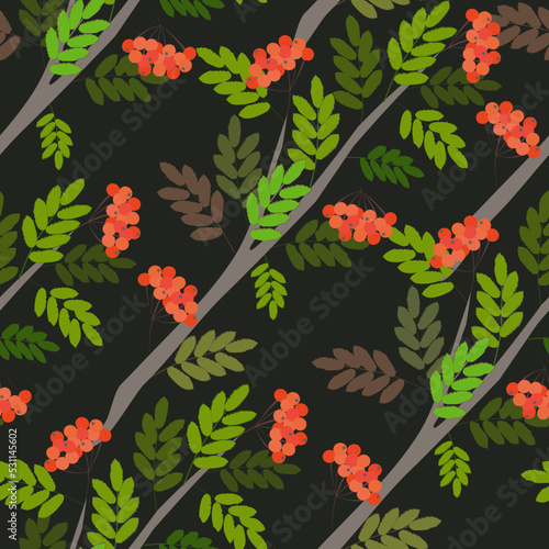 seamless pattern with sorbus
