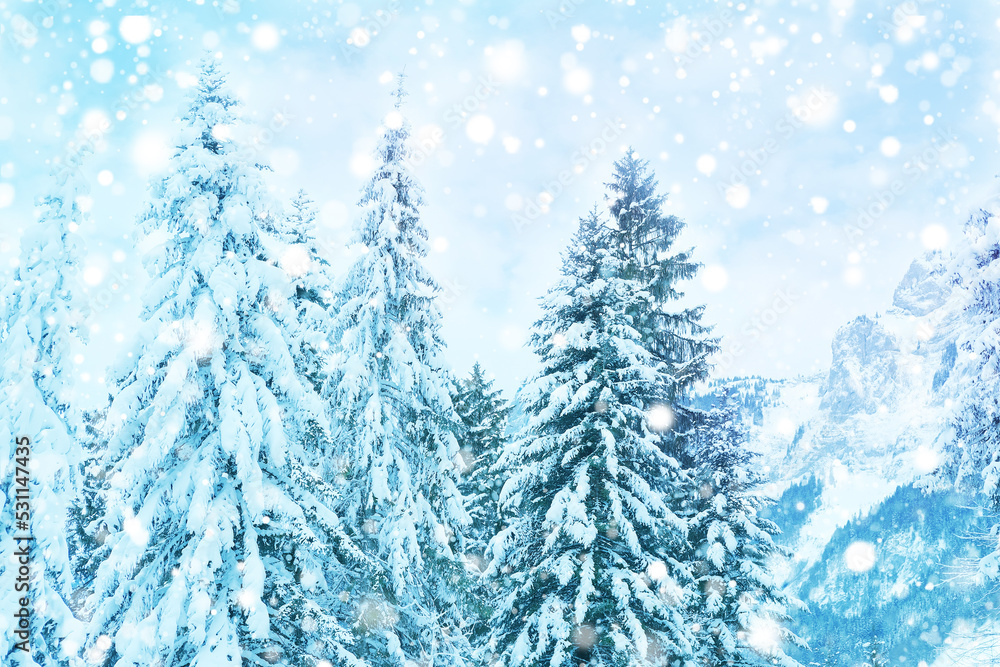 beautiful winter landscape, snow-covered fluffy fir trees, snowfall in the mountains, panorama of mountain peaks, the Swiss Alps in the snow, walks in the winter white forest beautiful winter landscape, snow-covered fluffy fir trees, snowfall in the mountains, panorama of mountain peaks, the Swiss Alps in the snow, walks in the winter white forest