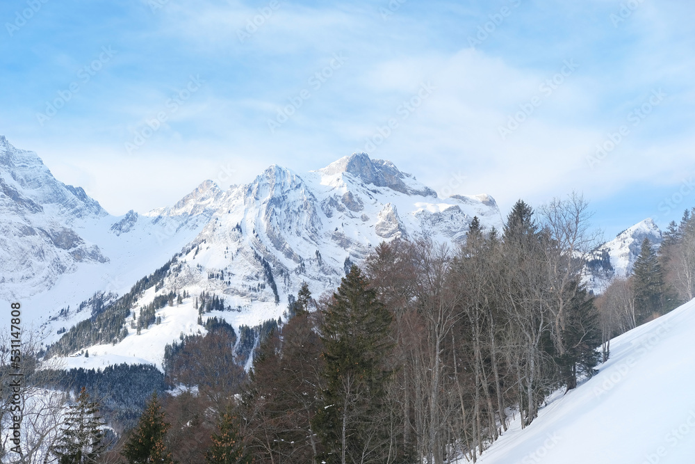 Fototapeta premium beautiful winter landscape, snow-covered trees, mountainpass, snowfall in the mountains, Swiss Alps in the snow, walks in the winter white forest, tourism, winter sports