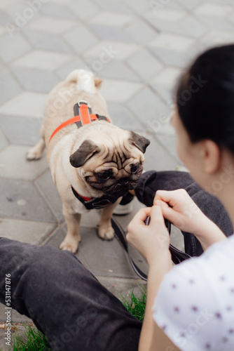 Young girl goes for walk with doggy pug in park. Selective focus.