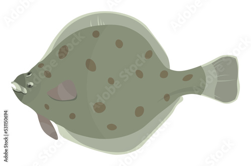 Leinwand Poster Flounder flat fish underwater sea creature animal illustration