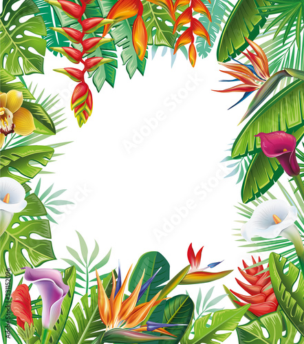 Frame from tropical plants and flowers