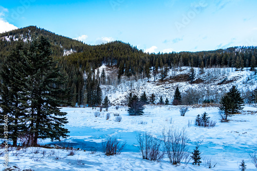 Snow covered pond. Sibbald Meadows Pond Provincial Recreation Area, Alberta, Canada