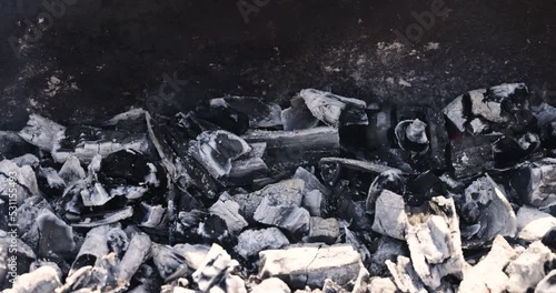 Wallpaper Mural A fire made of logs while cooking barbecue on vacation at the weekend, burnt birch and pear logs while cooking meat on coals Torontodigital.ca