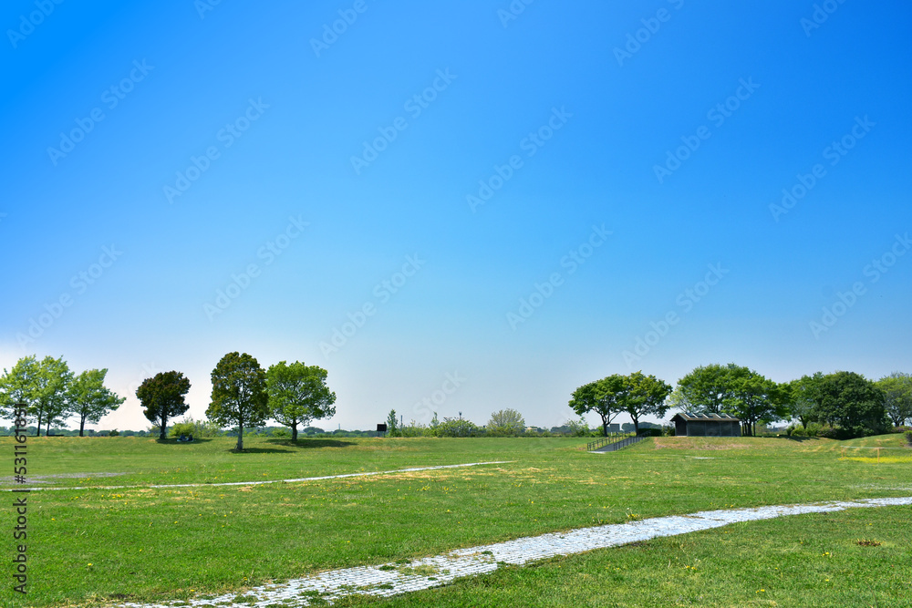 原っぱ公園