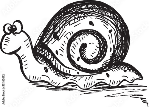 Illustration of a snail in doodle vector