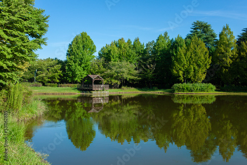park pond