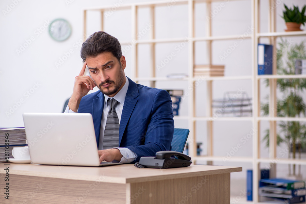 Young handsome employee working in the office Young handsome employee working in the office