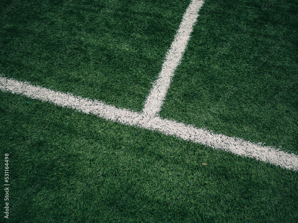 Obraz premium lines on a soccer field