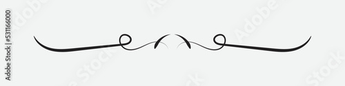 text delimiter for your projects. text divider. vintage border. Vector illustration.