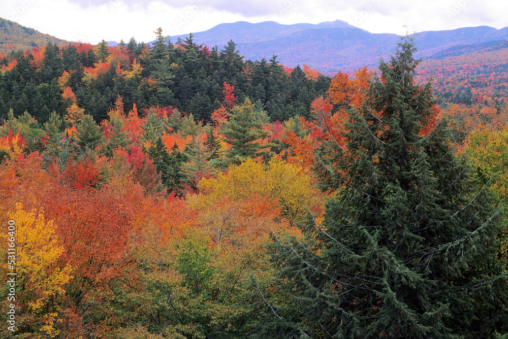 Scenic view from Kancamagus Highway in New Hampshire. Hillside of colorful fall foliage and tall peaks of Mount Osceola in White Mountain National Forest.