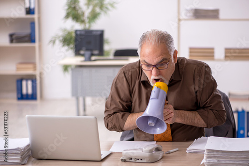 Angry boss employee holding megaphone at workplace