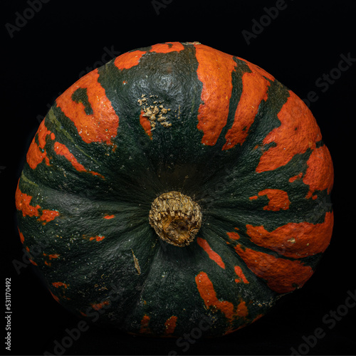 Fresh pumpkin isolated on a black background