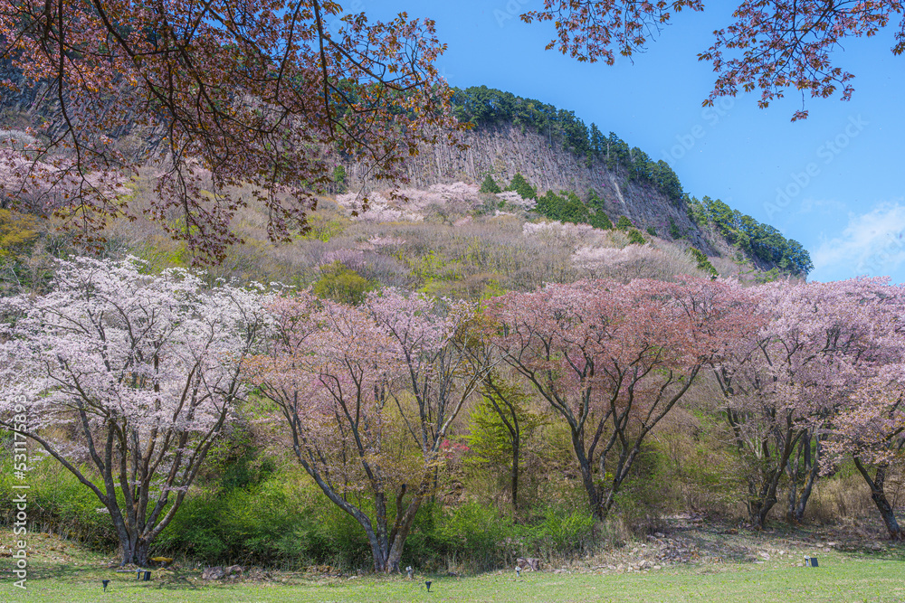 奈良　-　【屏風岩公苑の紅葉】