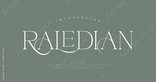 Elegant alphabet letters font. Classic Modern Serif Lettering Minimal Fashion Designs. Typography  decoration fonts for branding, wedding, logos. vector illustration