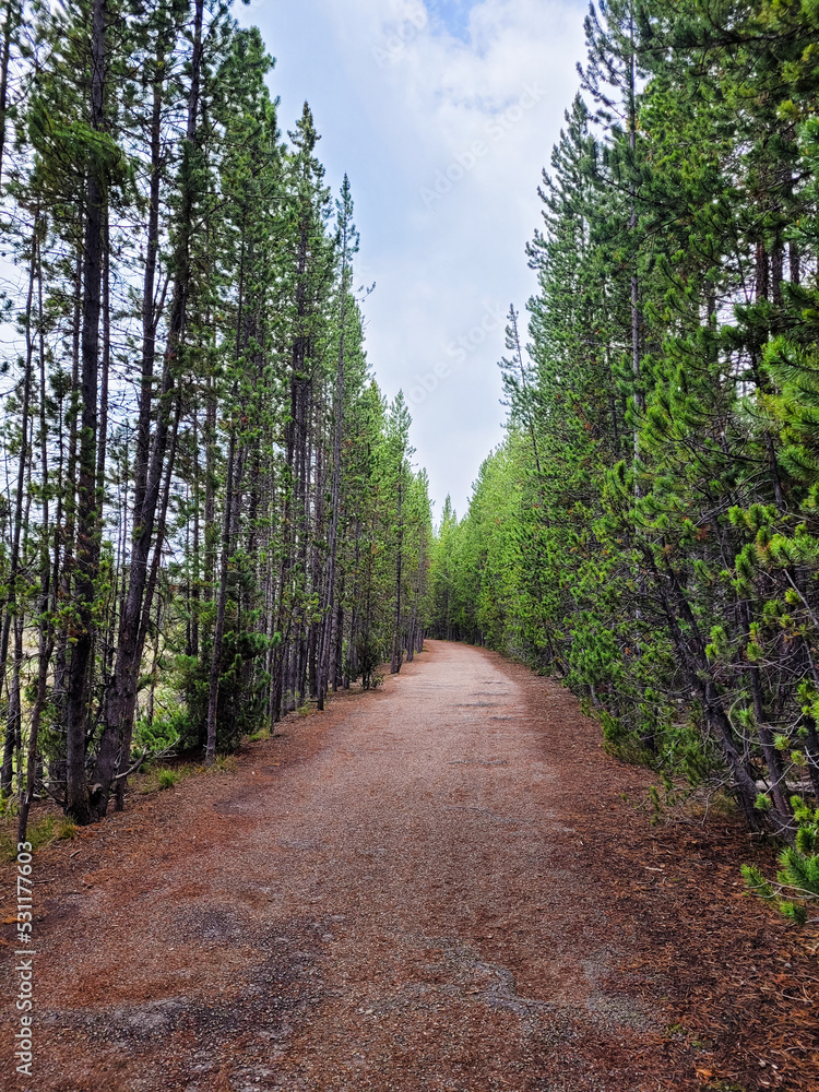 Obraz premium Gravel path