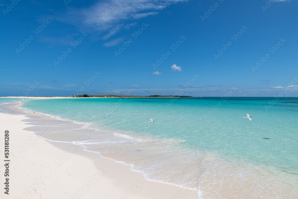 Tropical white beach in the caribbean sea (Cayo de Agua, Los Roques Archipelago, Venezuela).