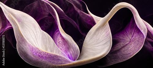 3D rendering. macro shots of purple and white lily flower illustration background