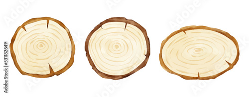 Draw vector illustration wooden slice Watercolor style