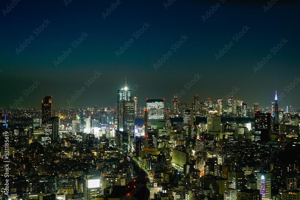 Obraz premium 東京の夜景