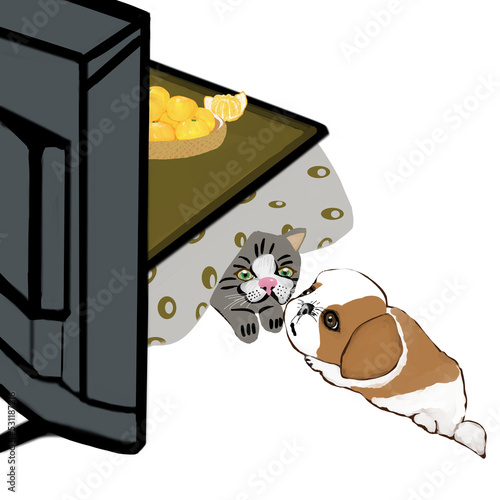 こたつに入っている犬と猫