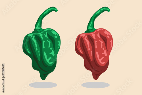 The hottest chili in the world. Raw and cooked Carolina reaper.