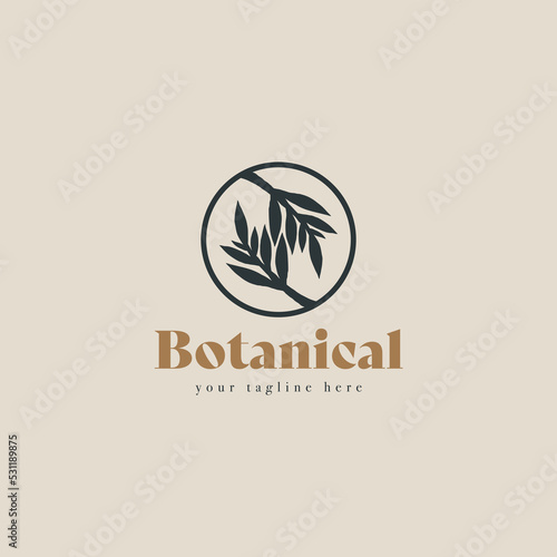 Plant branch hipster minimal logo vector with leaf simple line outline icon. Branch Leaf Monoline Lineart Logo template vector illustration