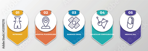 infographic template with thin line icons. infographic for medical concept. included nutrionist, hospital placeholder, bandage cross, molecular configuration, medical pill editable vector.