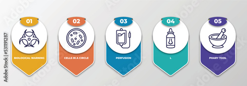infographic template with thin line icons. infographic for medical concept. included biological warning, cells in a circle, perfusion, l, phary tool editable vector.