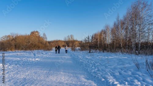 A path trodden through snowdrifts. Three people are leaving on the road. Back view. Bare trees against a clear blue sky. Copy Space. Altai