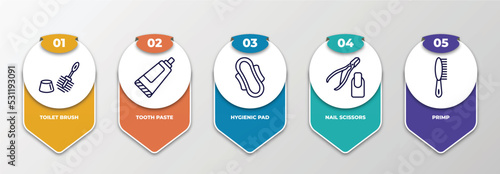 infographic template with thin line icons. infographic for hygiene concept. included toilet brush, tooth paste, hygienic pad, nail scissors, primp editable vector.