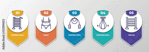 infographic template with thin line icons. infographic for gym equipment concept. included swedish wall, waist, jumping rope, punching ball, trellis editable vector.