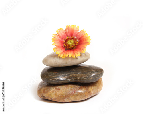 Balanced Stones With Flower on Top Isolated on White Background