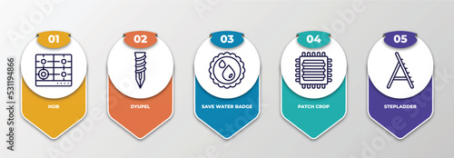 infographic template with thin line icons. infographic for general concept. included hob, dyupel, save water badge, patch crop, stepladder editable vector.