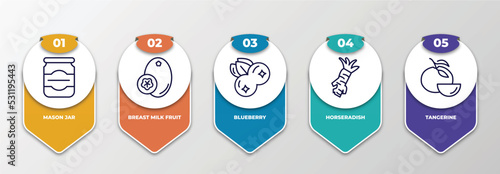infographic template with thin line icons. infographic for fruits and vegetables concept. included mason jar, breast milk fruit, blueberry, horseradish, tangerine editable vector.
