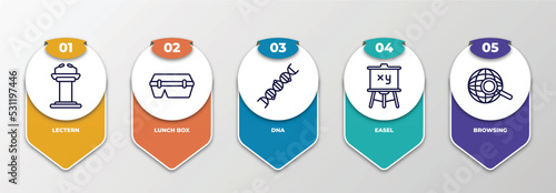 infographic template with thin line icons. infographic for education concept. included lectern, lunch box, dna, easel, browsing editable vector.