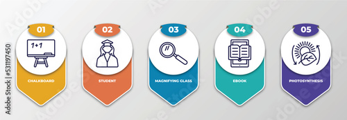 infographic template with thin line icons. infographic for education concept. included chalkboard, student, magnifying glass, ebook, photosynthesis editable vector.