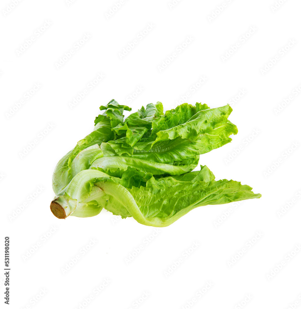 Lettuce Lettuce