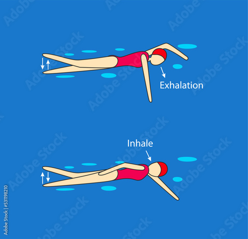 Backstroke (arms, legs work, breathing). Swimming pool instruction. Young girl.
