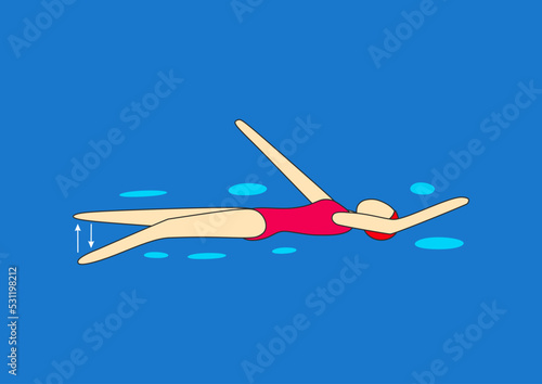 Backstroke (arm, leg work). Young girl swim in swimming pool.