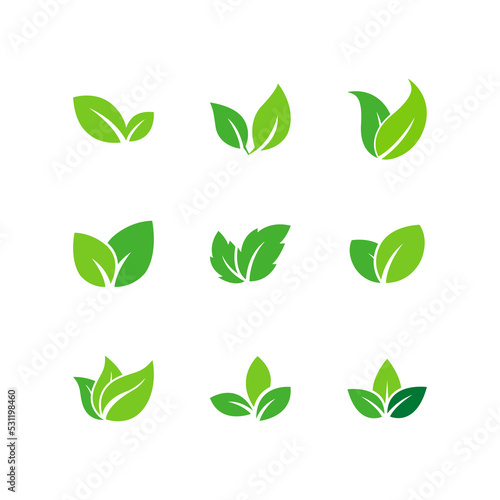 Set green leaf logo design, Leaves icon set.